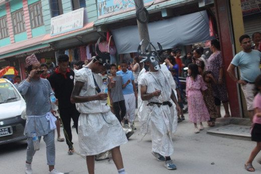 बेनीमा गोरु नाच प्रदर्शन